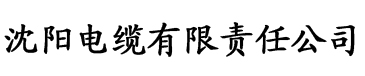 甜心在线观看免费高清电缆厂logo